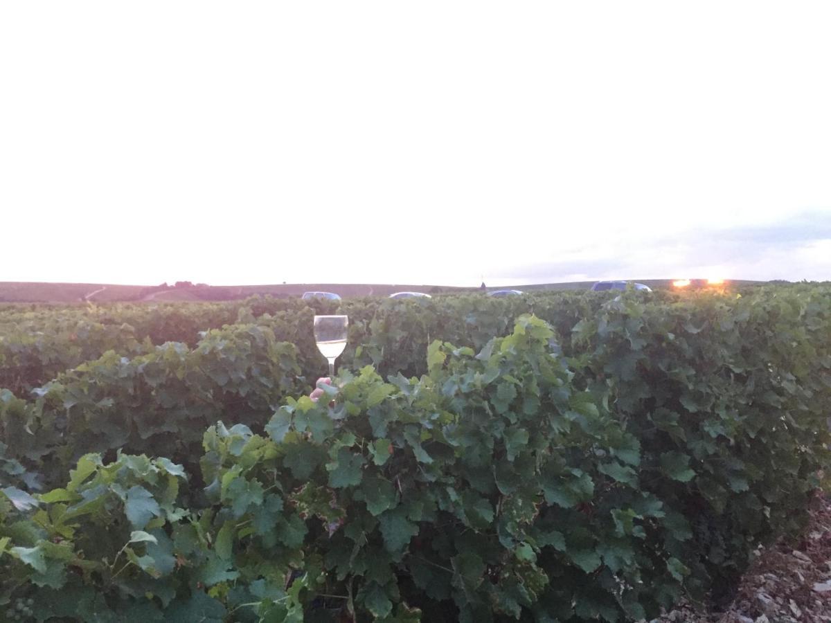 Le Logis St Pere Villa Sancerre Buitenkant foto